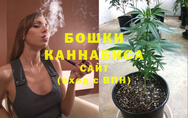 круглые Бородино