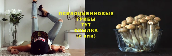 круглые Бородино