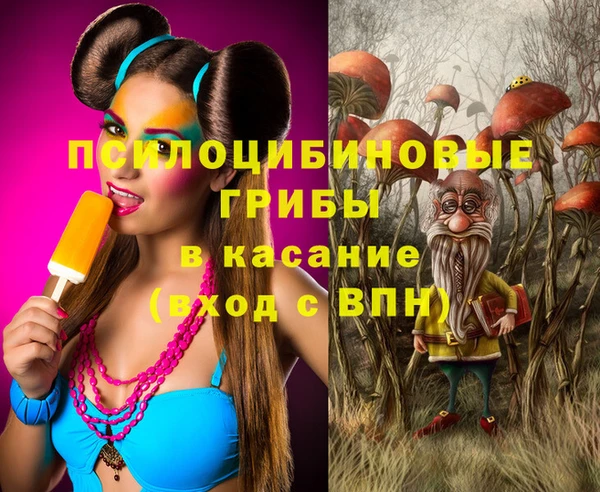 а пвп мука Бугульма